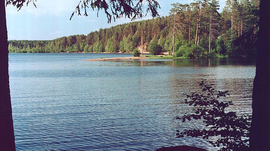 Красавица