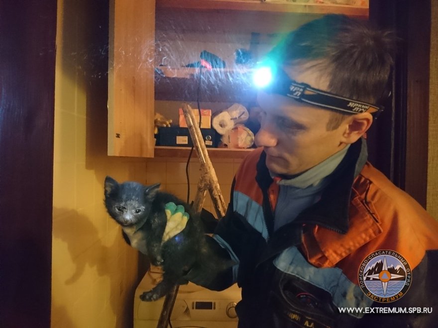 Петербургские волонтеры спасли из вентиляционной шахты маленького котенка