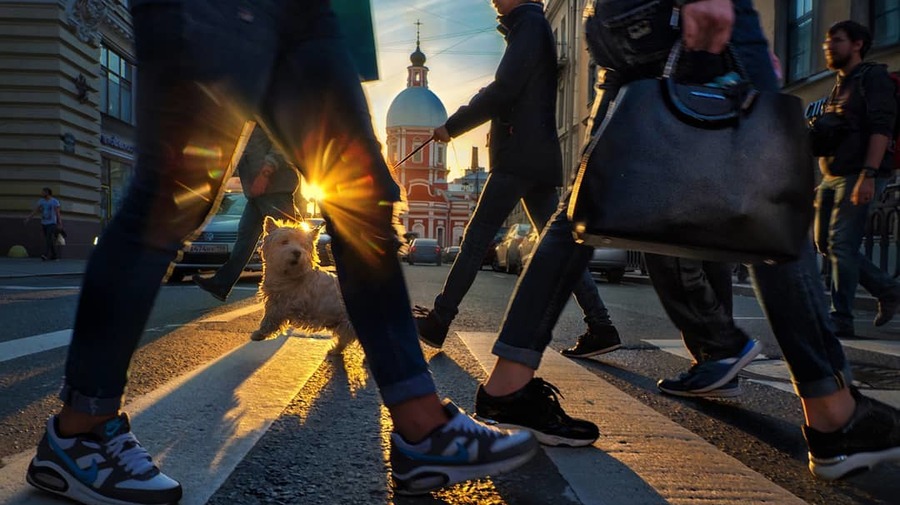 Вслед за аномальной зимой в Петербург придет очень теплая весна