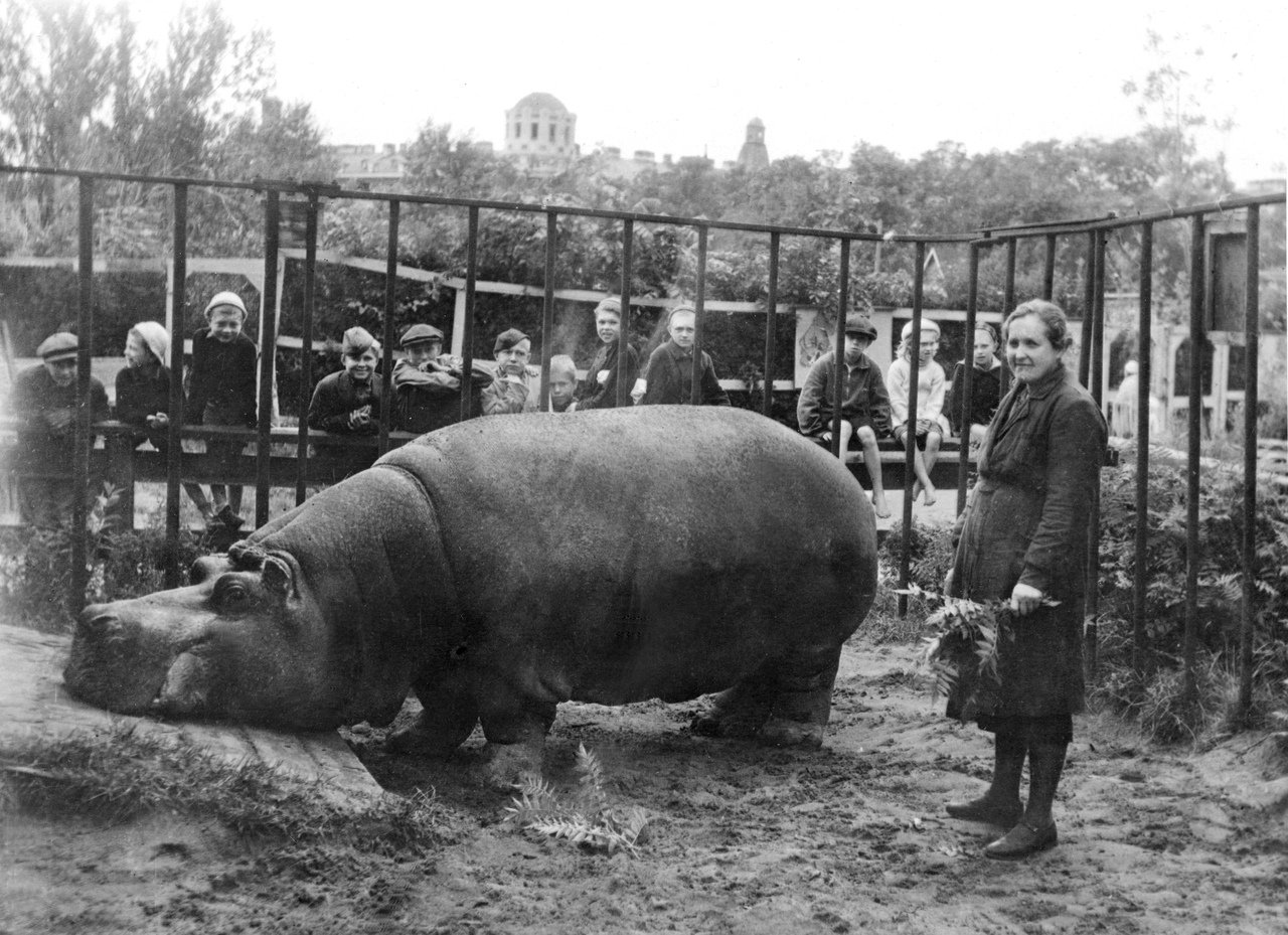 Программа «Зоосад в годы блокады» ко Дню снятия блокады в Ленинградском зоопарке