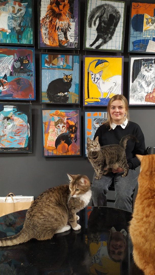 Выставка кошачьего портрета в «Республике котов»