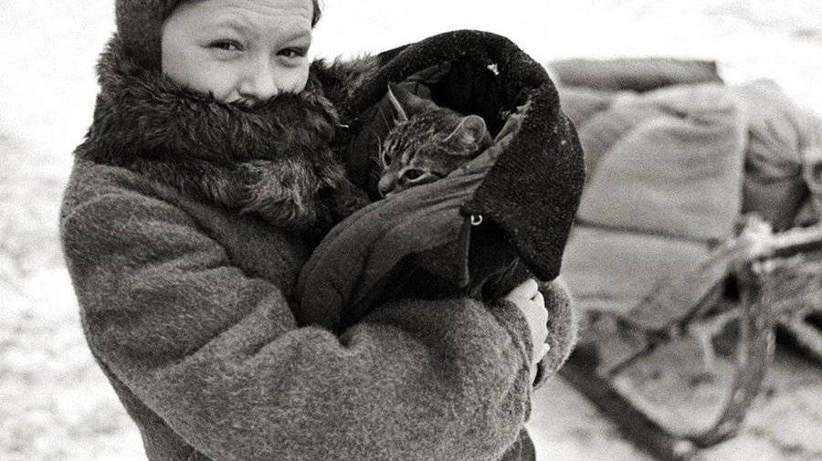 Кудровские школьники создали арт-объект, посвященный блокадным кошкам