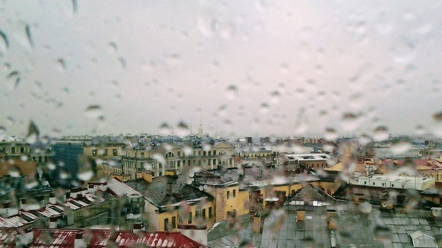 Сегодня петербуржцев ожидает ветреная погода с периодическими осадками
