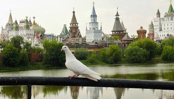 Городок имени Баумана