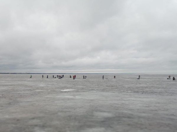 Петербургские рыбаки готовы на все ради корюшки