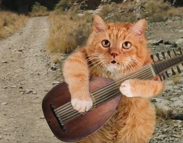 Кавер петербургского кота на песню из «Ведьмака» признали лучшим