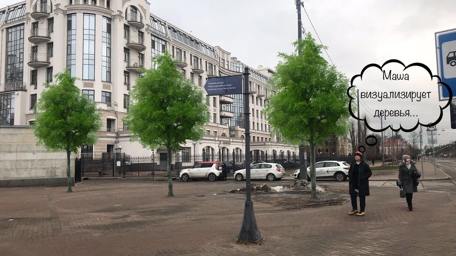 Желающих помочь с посадкой деревьев ищут в Петербурге