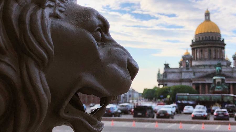 Львы Петербурга