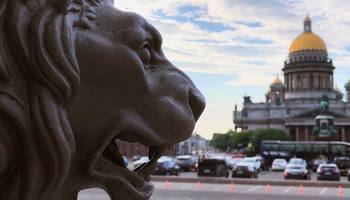Львы Петербурга