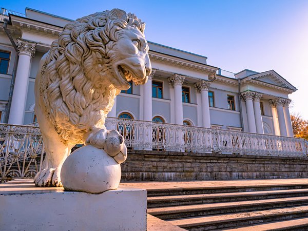 львы на дворцовой площади