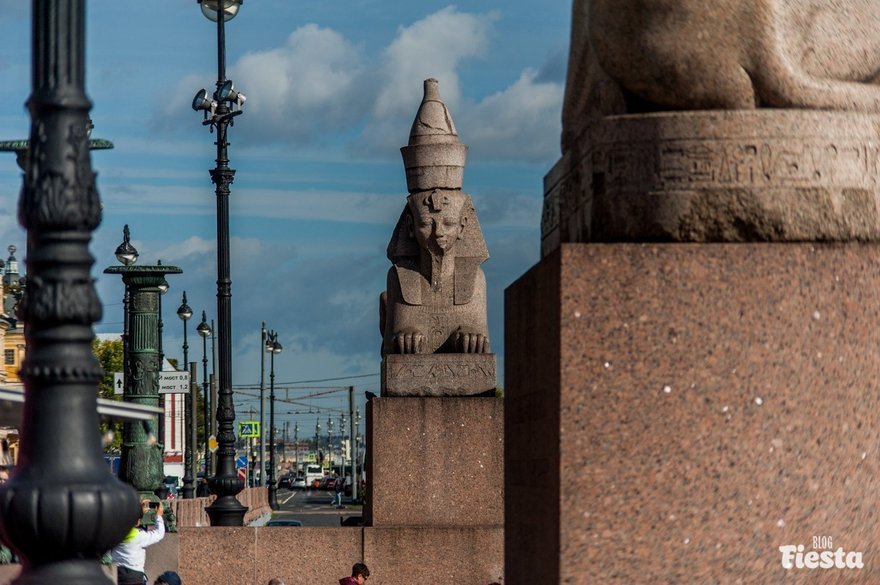 львы на дворцовой площади