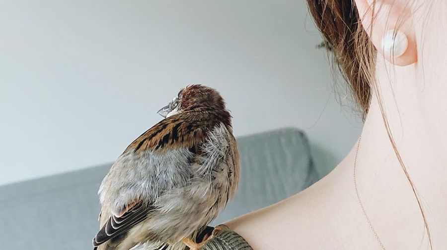 9 аккаунтов в Instagram, на которые стоит подписаться
