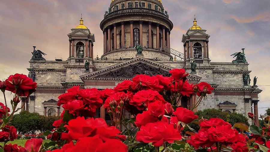 Этой весной улицы Петербурга украсят почти три миллиона цветов