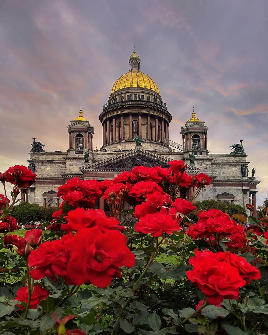 Этой весной улицы Петербурга украсят почти три миллиона цветов