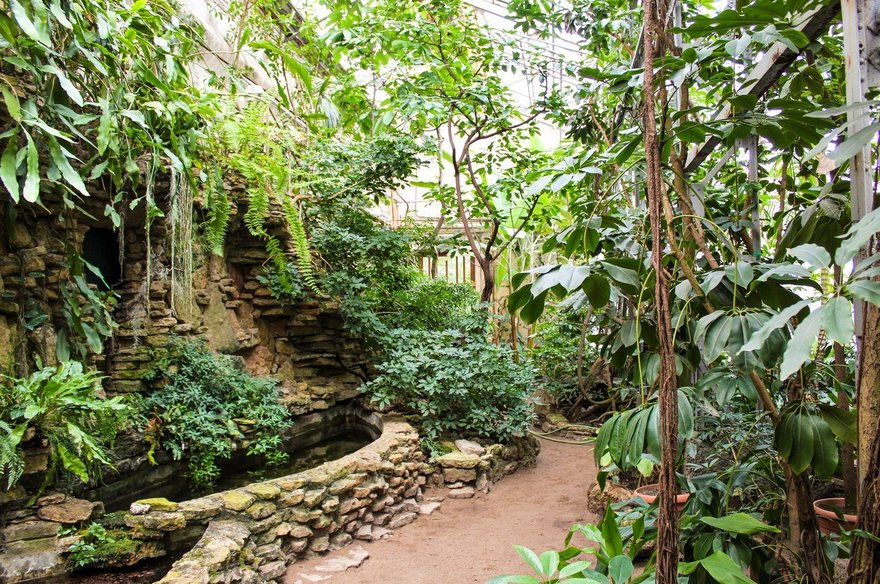 В сети появился виртуальный тур по пряничному Ботаническому саду 