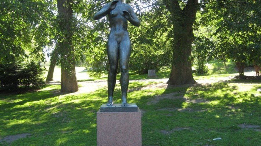 Памятник «Вьюнок»