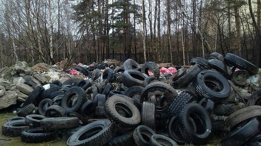 Куча мусора среди деревьев: в Приморском районе образовалась свалка покрышек