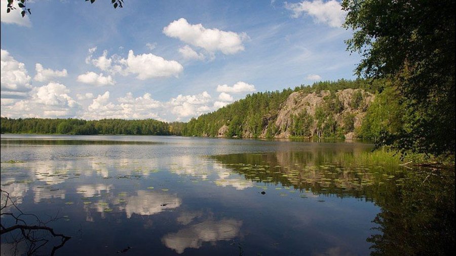 Кузнечное и Тропа Хо Ши Мина
