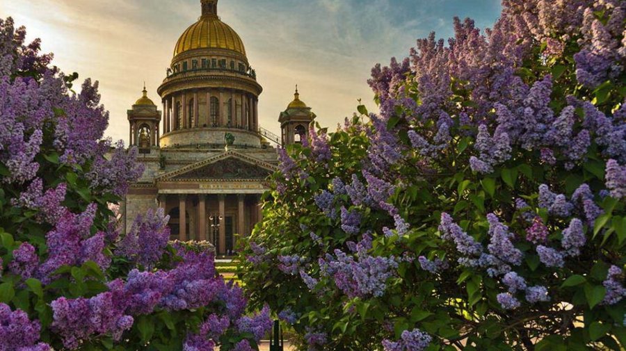Дождались лета: воздух прогреется до 21 градуса