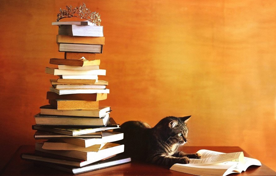 Санкт-Петербургский книжный салон