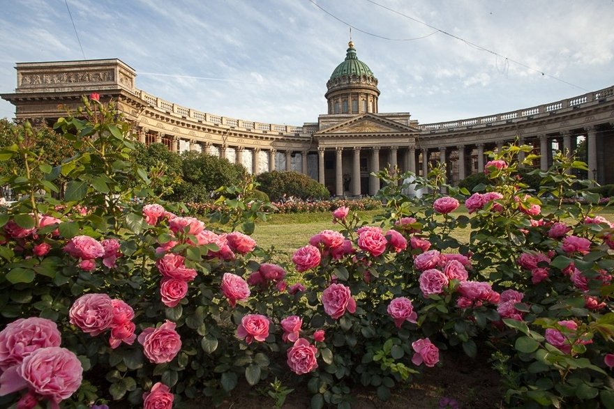 У Казанского собора и памятника Кутузову высадили цветы