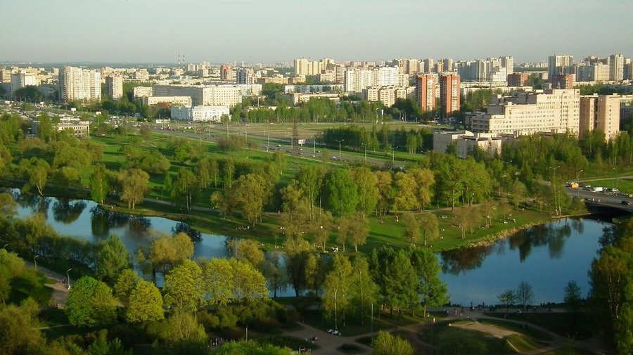 Справедливость есть: активисты отстояли Муринский парк