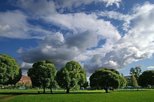 Пискаревский Парк Фото