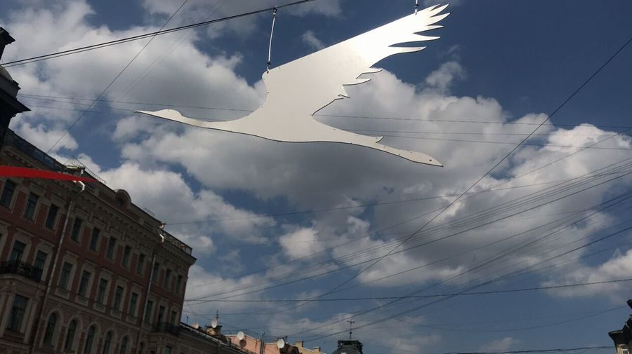 Стаи белых журавлей закружили над реками и каналами Петербурга