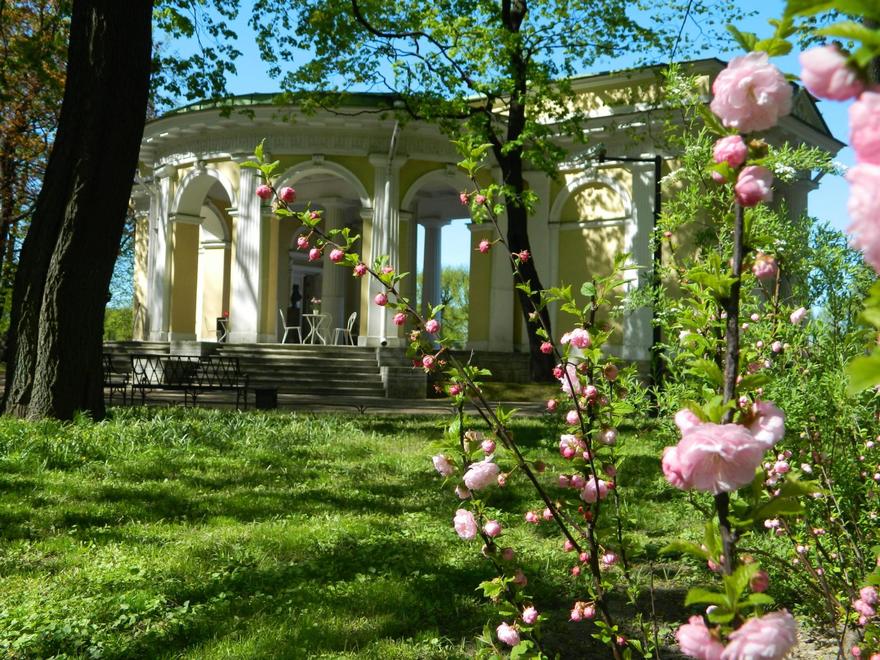Онлайн-экскурсия по Михайловскому саду