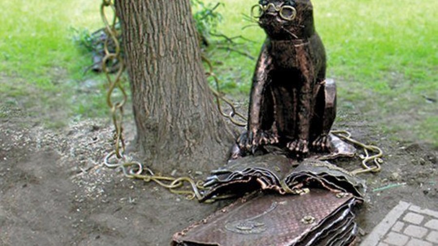 Ученый кот
