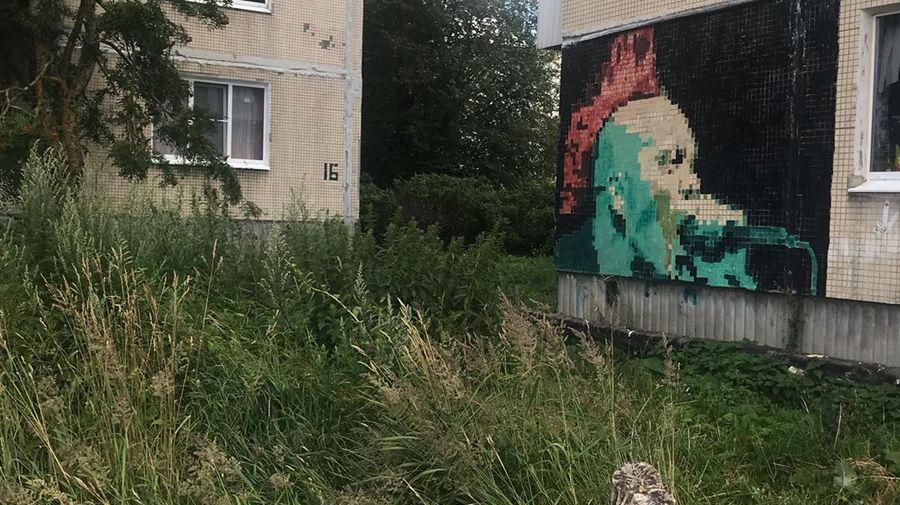 В Ленобласти на обычных жилых домах появились мозаичные легенды мирового рока
