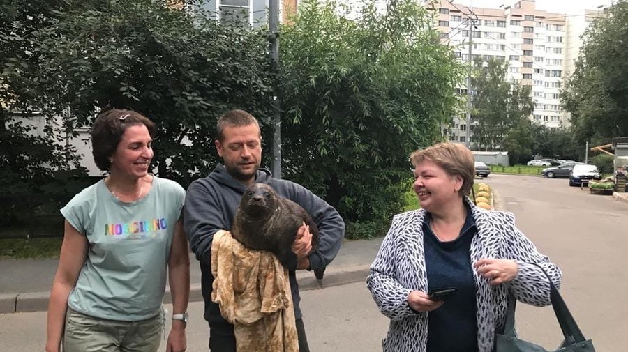 В море не понравилось: Шлиссик вернулся к людям