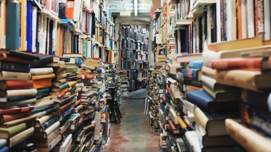 В Петербурге бесплатно раздадут книги