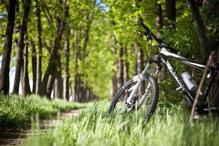 В ЦПКиО могут запретить велосипеды и электросамокаты
