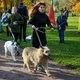 Забег собак и хозяев «Необыкновенный кросс»