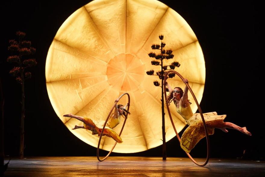 Онлайн-трансляция шоу Cirque du Soleil