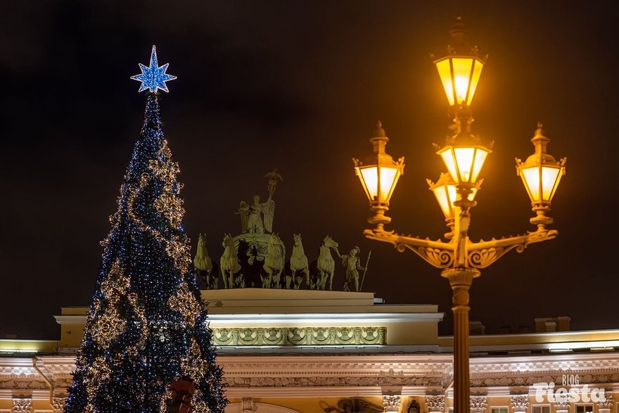 Жители Петербурга сами выберут главную новогоднюю красавицу для установки на Дворцовой