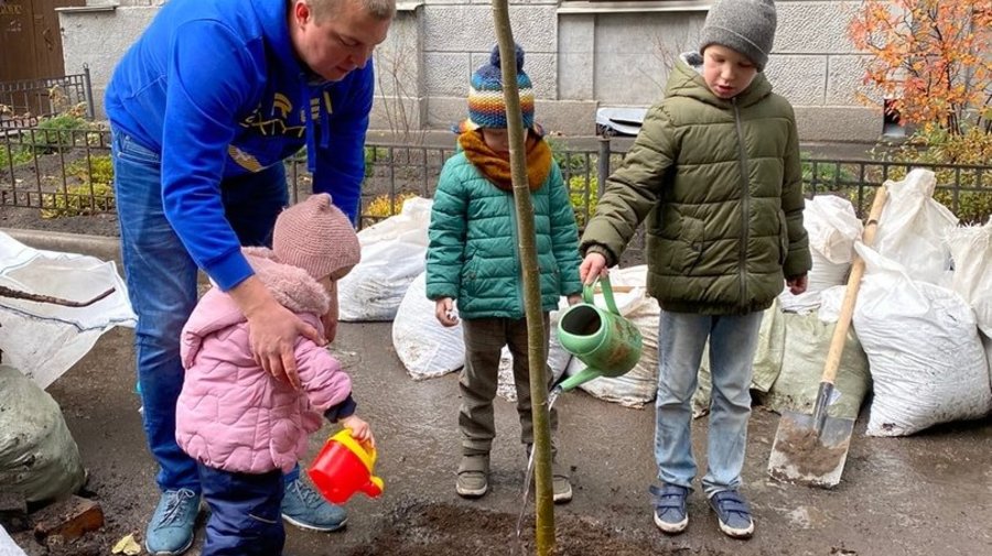 Жители и активисты высадили 12 лип на аллее в центре