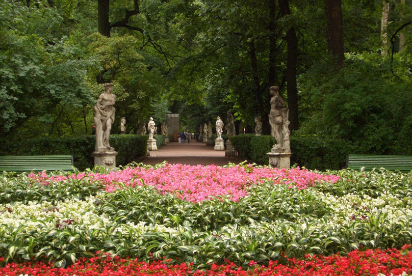 Где в Петербурге полюбоваться цветами: 7 «райских» мест