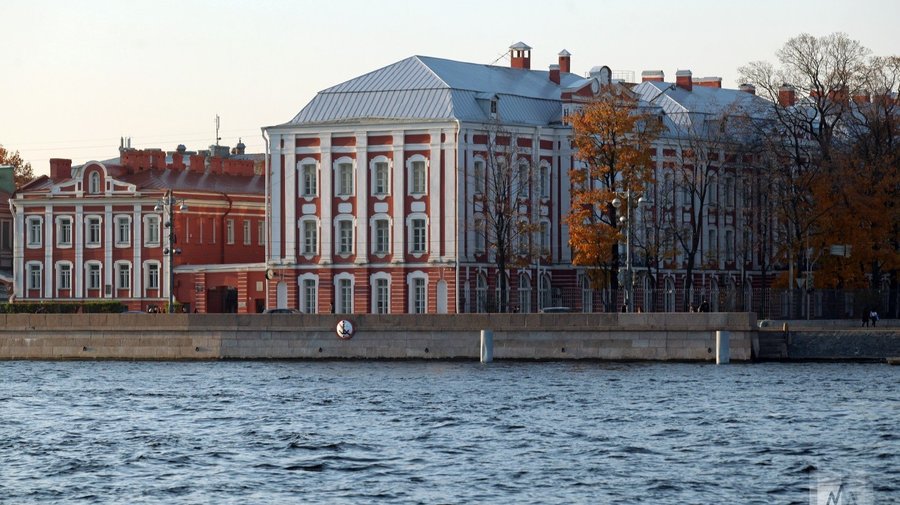 Получить второе высшее по творческим специальностям в России можно будет бесплатно