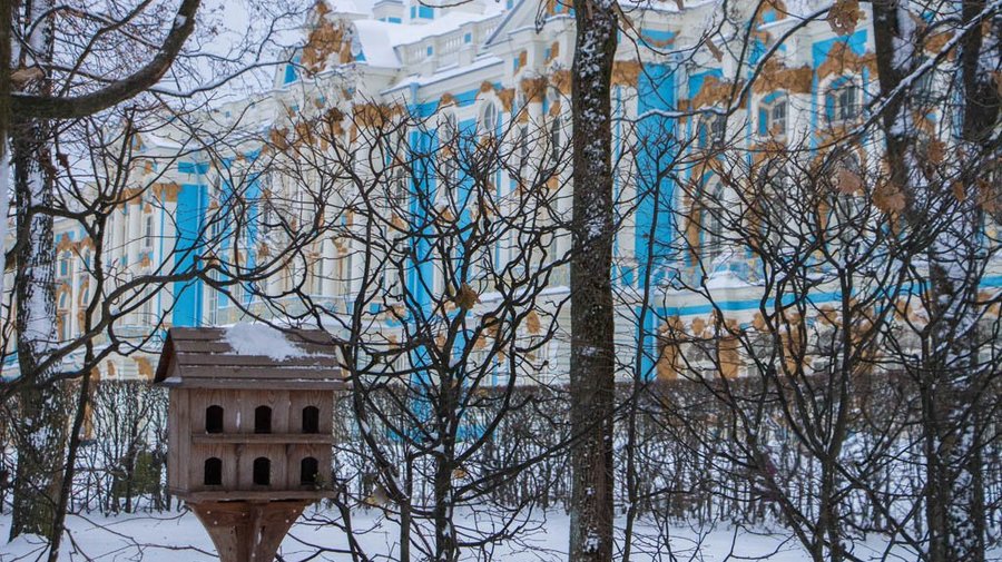 В парках Царского Села появились кормушки для птиц