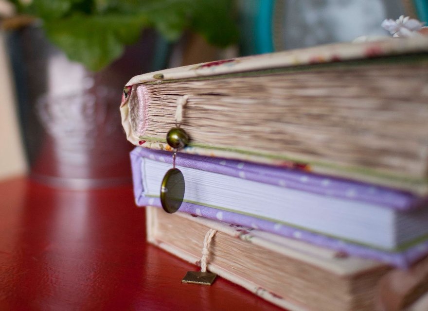 Книжный праздник BOOK DAY