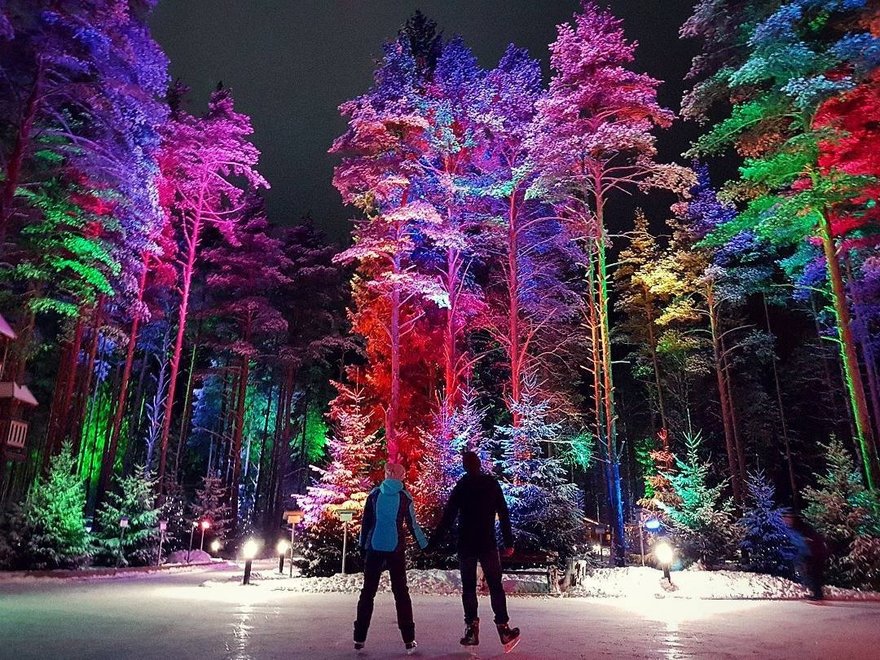 Лесной каток