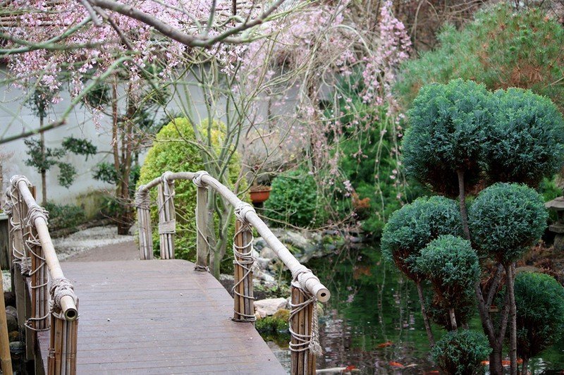 Японский сад Вихерпайа