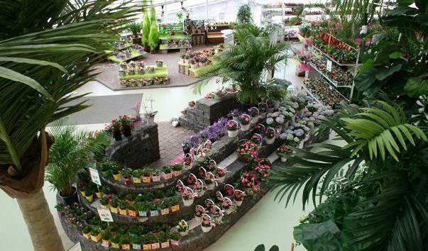 Оранжерея Вихерландии