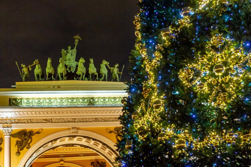 Четыре тысячи елей украсят новогодний Петербург