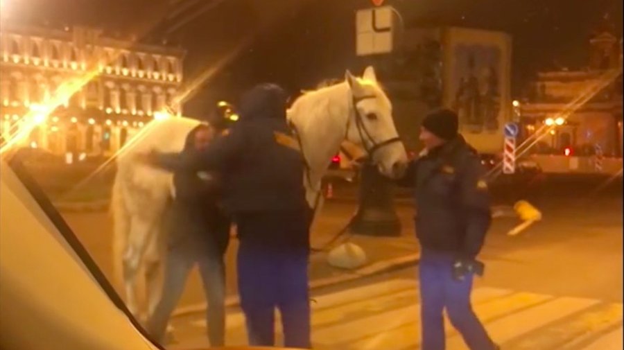 Драка с лошадьми произошла в центре Петербурга