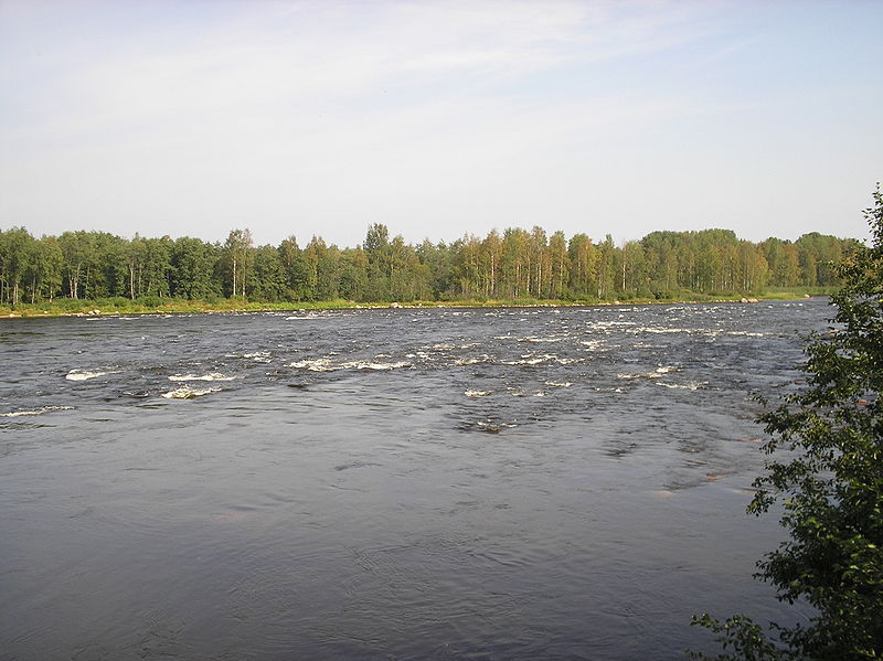 Бурная