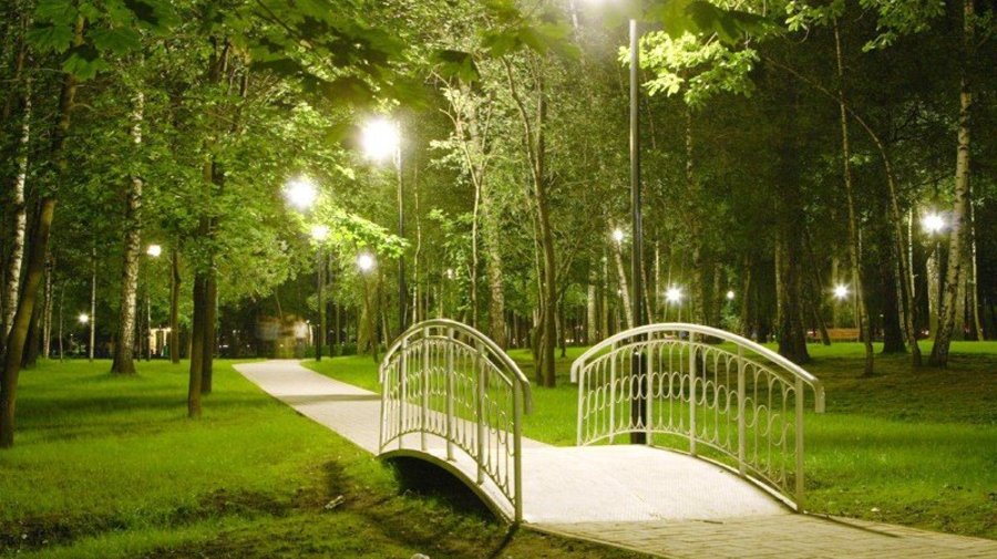 Лианозовский парк
