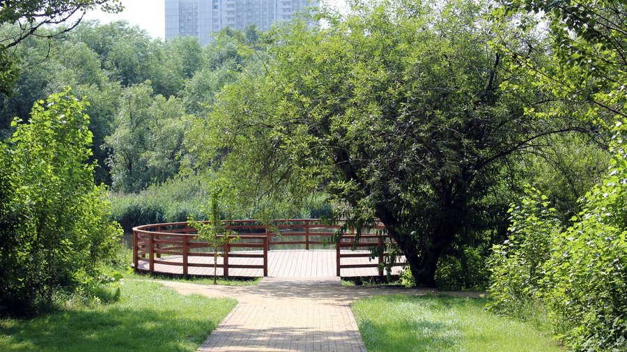 Бабушкинский парк